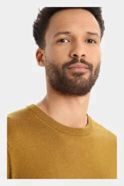 Icebreaker Mens Shearer Crewe Sweater -Outdoor Clothing Store a1754094 6060 e