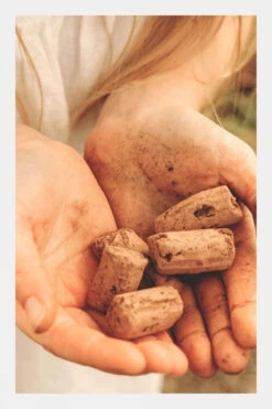 The Den Kit Co. The Plant A Tree For The Jubilee Kit -Outdoor Clothing Store b4ac390073 8989 c