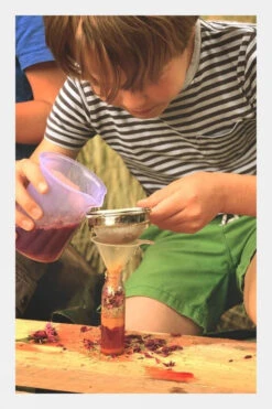 The Den Kit Co. Potion Making Kit -Outdoor Clothing Store b4ac390087 6660 b