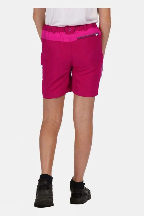 Regatta Kids Sorcer Mountain Shorts 14+ 4 Regatta Kids Sorcer Mountain Shorts 14+ - Image 4