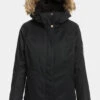 Roxy Womens Meade Snow Jacket